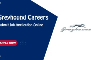 Greyhound Careers